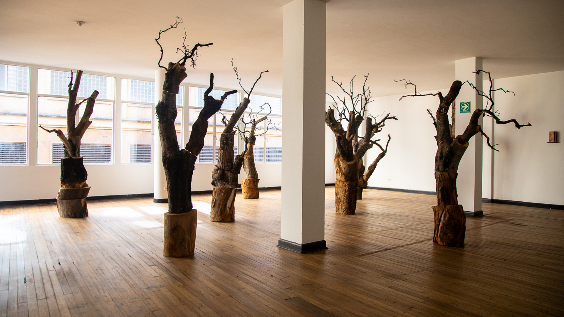 catalina rpdrguez lo que queda en pie