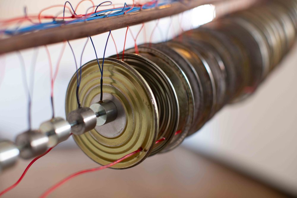 Electrophorus – Camilo Martínez Martínez