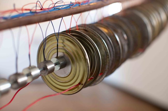 Electrophorus – Camilo Martínez Martínez