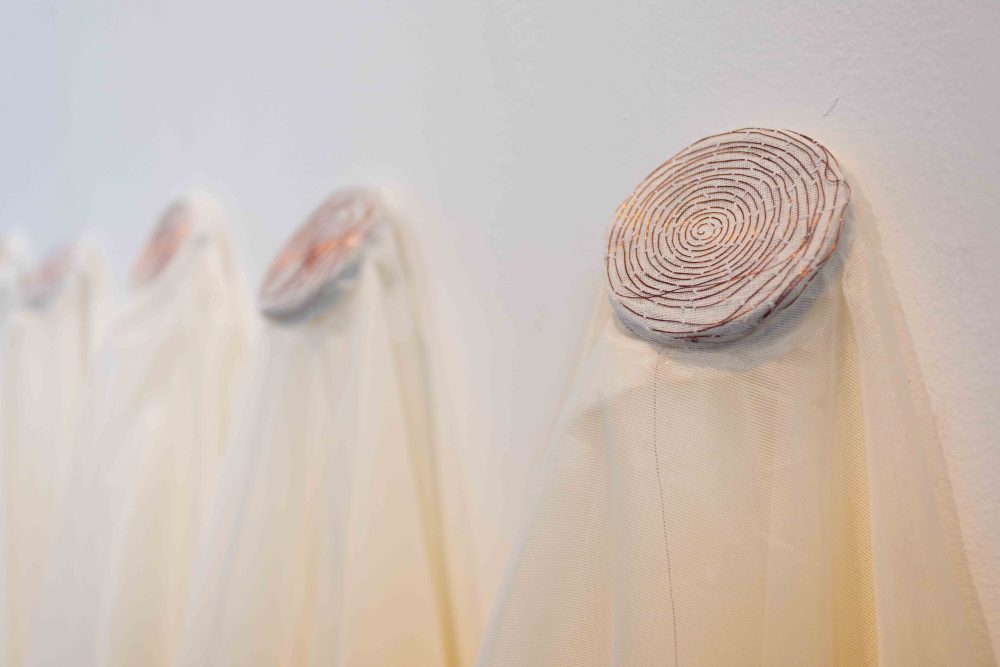 Signos Vitales –  Luz Adriana Vera Rivera