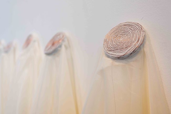 Signos Vitales –  Luz Adriana Vera Rivera