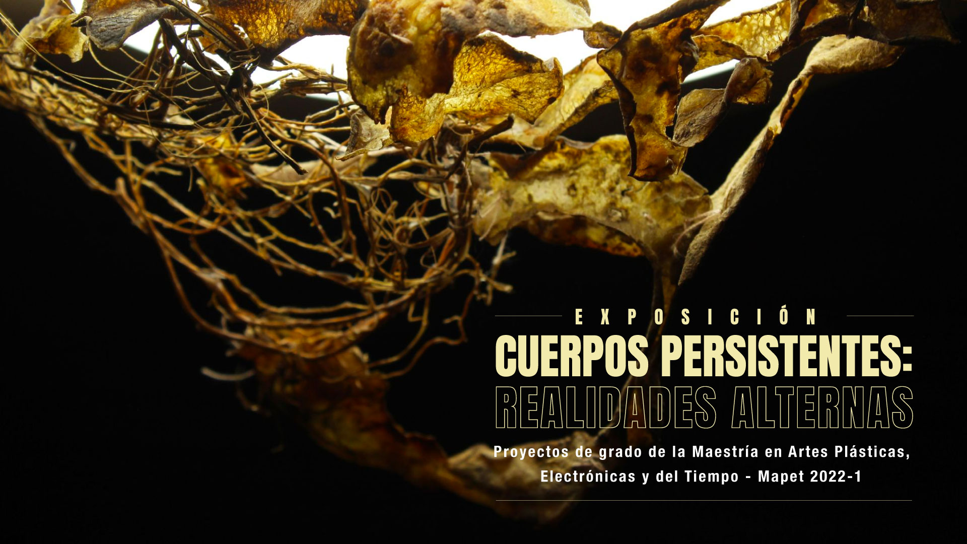 1920-boletin-PG-Mapet-2022-1