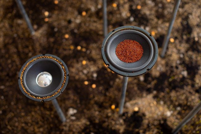 Naturalezas en tensión – Milena Espinosa