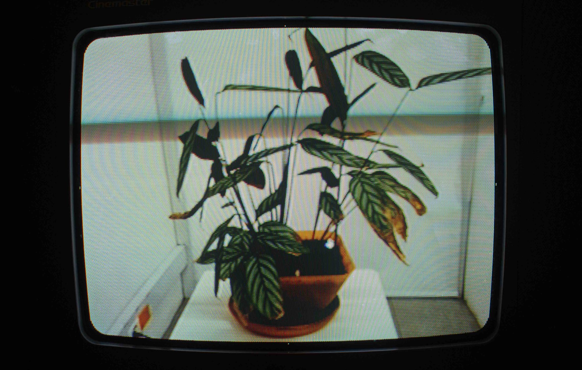 Consideraciones accidentales sobre la burocracia, el tiempo y todo lo demás – Pamela Loaiza Pérez