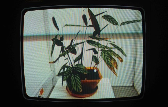 Consideraciones accidentales sobre la burocracia, el tiempo y todo lo demás – Pamela Loaiza Pérez