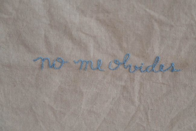 daniela-villareal-11