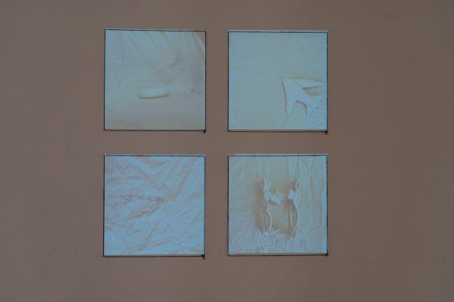 daniela-villareal-24