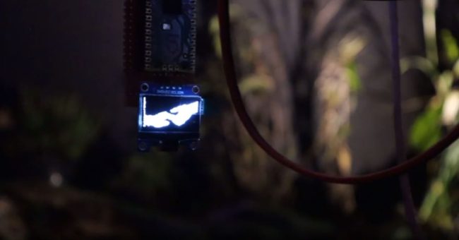 Sueño con el Cielo y el Mar – Renzo Rospigliosi