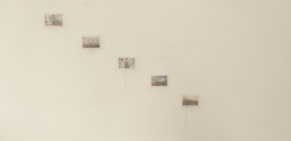 proceso-daniela-villareal-4