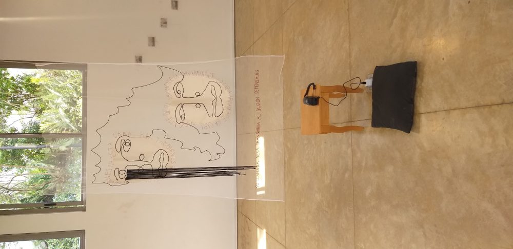 proceso-daniela-villareal-5