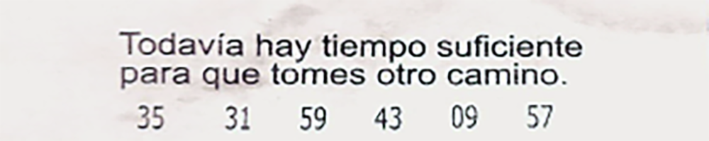 proceso-martha-millan-3