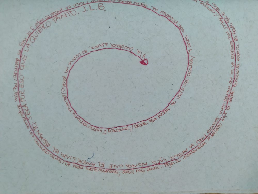 proceso-martha-millan-6