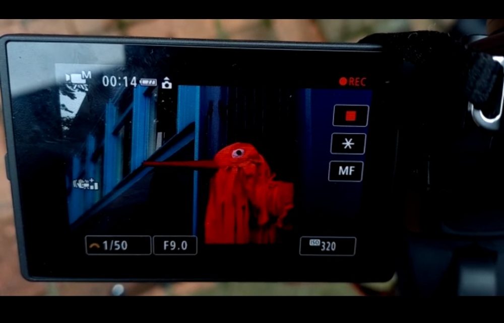 proceso-martha-millan-7