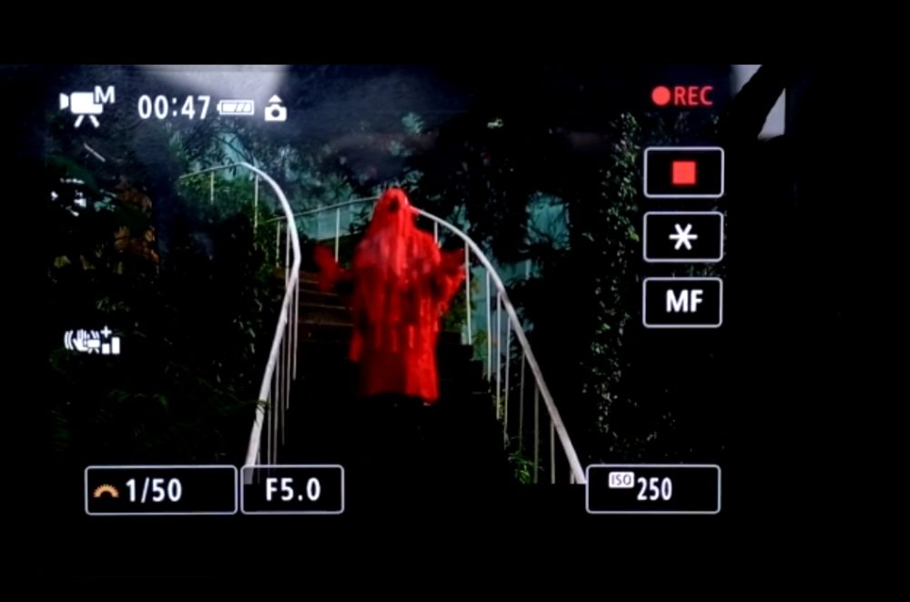 proceso-martha-millan-8