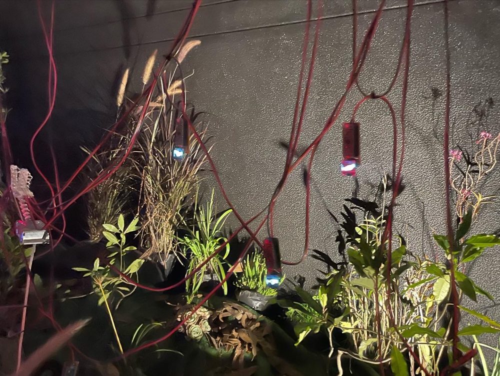 proceso-renzo-rospigliosi-2