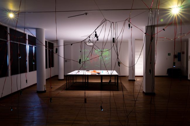 renzo-rospigliosi-19